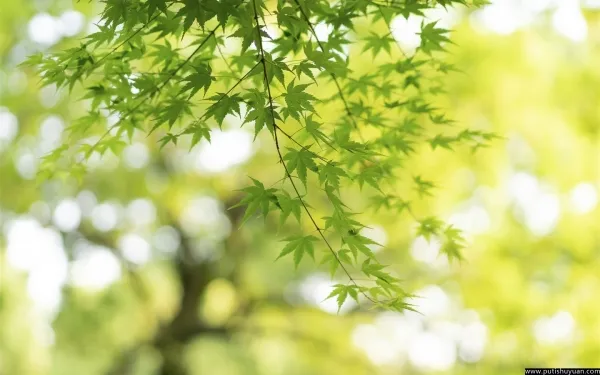 出世还是入世,无情还是多情,随缘还是进取