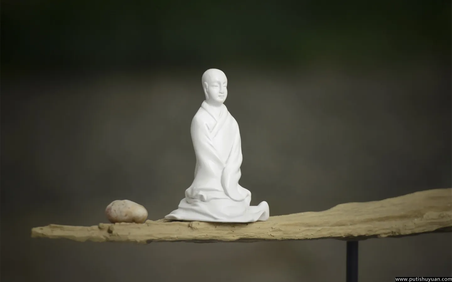 中观的智慧 ——《佛教徒的人生态度》一 之班修心得